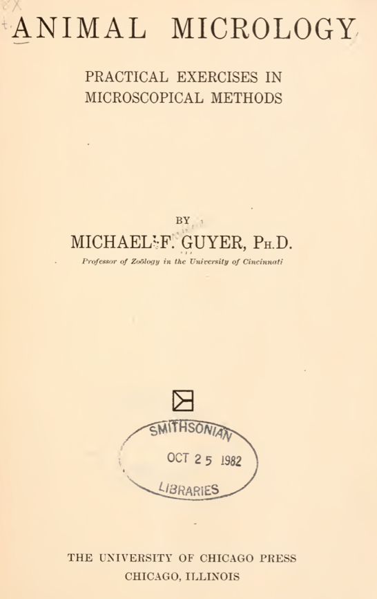 A close up of a paper
Description automatically generated