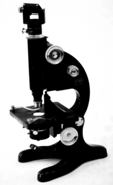 A close-up of a microscope
Description automatically generated