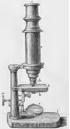 A picture containing wall, indoor, old
Description automatically generated