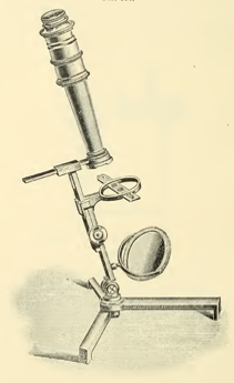 A picture containing photo, old, holding, sitting
Description automatically generated