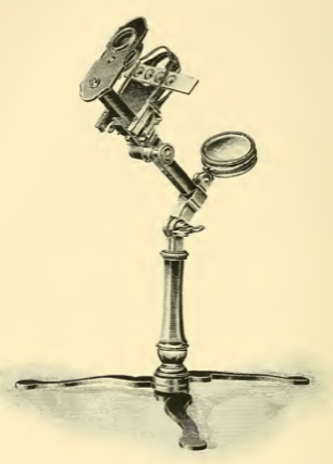 A picture containing table, sitting, holding, water
Description automatically generated