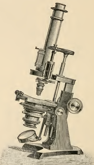 A picture containing old, sitting, photo, wooden
Description automatically generated