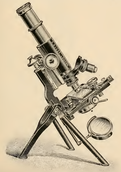 A picture containing photo, table, old, holding
Description automatically generated
