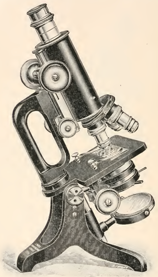 A picture containing motorcycle, photo, sitting, person
Description automatically generated