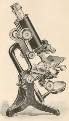 A picture containing motorcycle, photo, riding, old
Description automatically generated