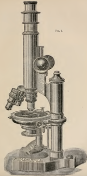 A picture containing indoor, table, sitting, old
Description automatically generated