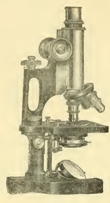 A picture containing indoor, old, photo, small
Description automatically generated