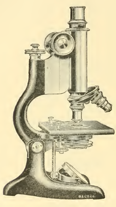 A picture containing indoor, sitting, small, table
Description automatically generated