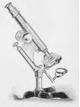 A picture containing drawing
Description automatically generated