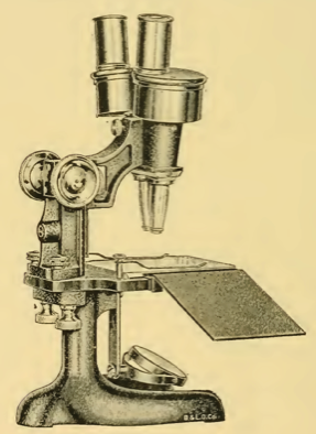 A picture containing table, old, sitting, person
Description automatically generated