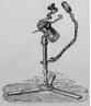 A picture containing holding, table, water, person
Description automatically generated