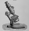 A close up of a statue
Description automatically generated