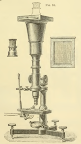 A picture containing indoor, table, photo, old
Description automatically generated