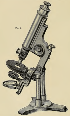 A picture containing object, sitting, front, person
Description automatically generated