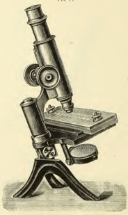 A picture containing sitting, old, table, kitchen
Description automatically generated