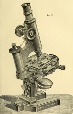 A picture containing sitting, person, small, motorcycle
Description automatically generated