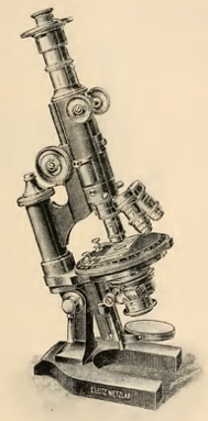 A picture containing indoor, object, small, sitting
Description automatically generated