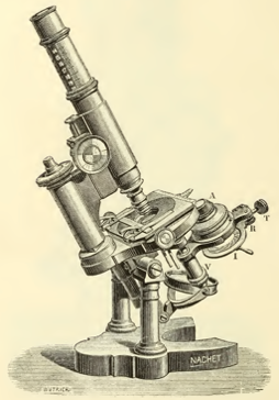 A picture containing motorcycle, photo, sitting, person
Description automatically generated