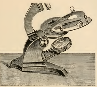 A picture containing photo, old, sitting, pair
Description automatically generated