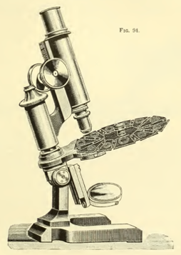 A picture containing sitting, table, old, holding
Description automatically generated