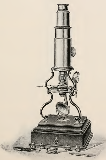 A picture containing indoor, table, sitting, old
Description automatically generated