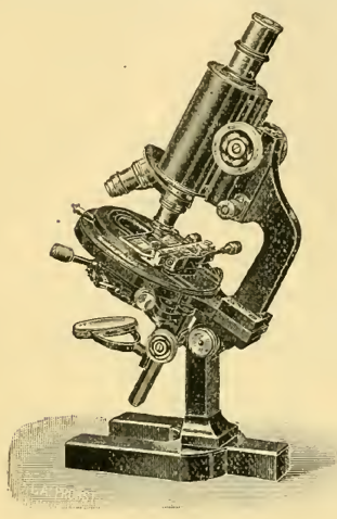 A picture containing motorcycle, photo, old, sitting
Description automatically generated