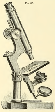 A picture containing indoor, old, table, sitting
Description automatically generated