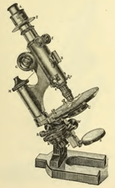 A picture containing old, photo, sitting, air
Description automatically generated