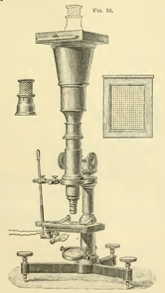 A picture containing indoor, table, photo, old
Description automatically generated