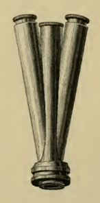 A picture containing old, cup, banana, sitting
Description automatically generated