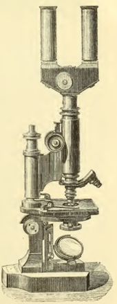 A vintage photo of a lamp
Description automatically generated