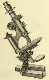 A picture containing old, photo, sitting, air
Description automatically generated