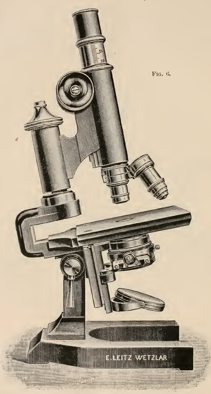 A picture containing indoor, microscope, object, kitchen
Description automatically generated