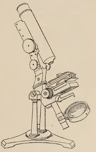 A picture containing drawing
Description automatically generated