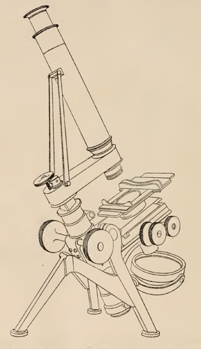 A picture containing drawing
Description automatically generated
