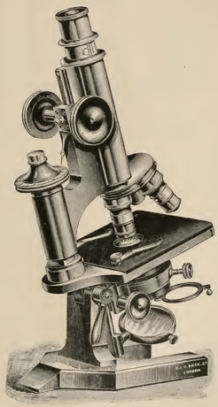 A picture containing indoor, small, old, sitting
Description automatically generated