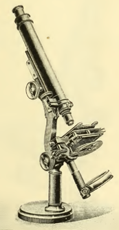 A picture containing sitting, old, photo, small
Description automatically generated