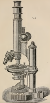 A picture containing indoor, table, sitting, old
Description automatically generated