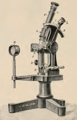 A picture containing sitting, table, old, wooden
Description automatically generated