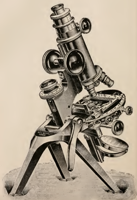 A picture containing motorcycle, bicycle, photo, riding
Description automatically generated