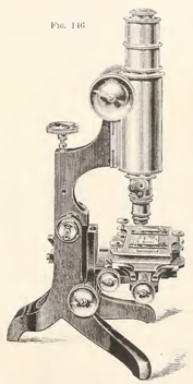 A vintage photo of a person
Description automatically generated