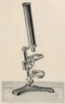 A picture containing sitting, table, holding, old
Description automatically generated