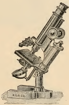 A close up of a statue
Description automatically generated