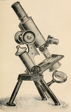 A picture containing object, photo, old, sitting
Description automatically generated