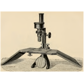 A picture containing old, pair, person, air
Description automatically generated