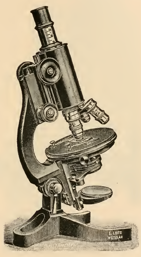 A picture containing old, small, sitting, photo
Description automatically generated