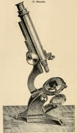 A picture containing sitting, photo, table, old
Description automatically generated