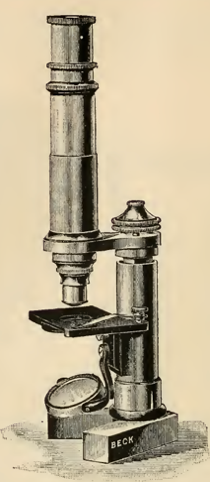 A picture containing indoor, old, table, sitting
Description automatically generated