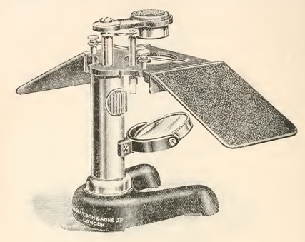 A picture containing table, person
Description automatically generated