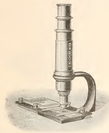 A picture containing ware, table, cup, sitting
Description automatically generated